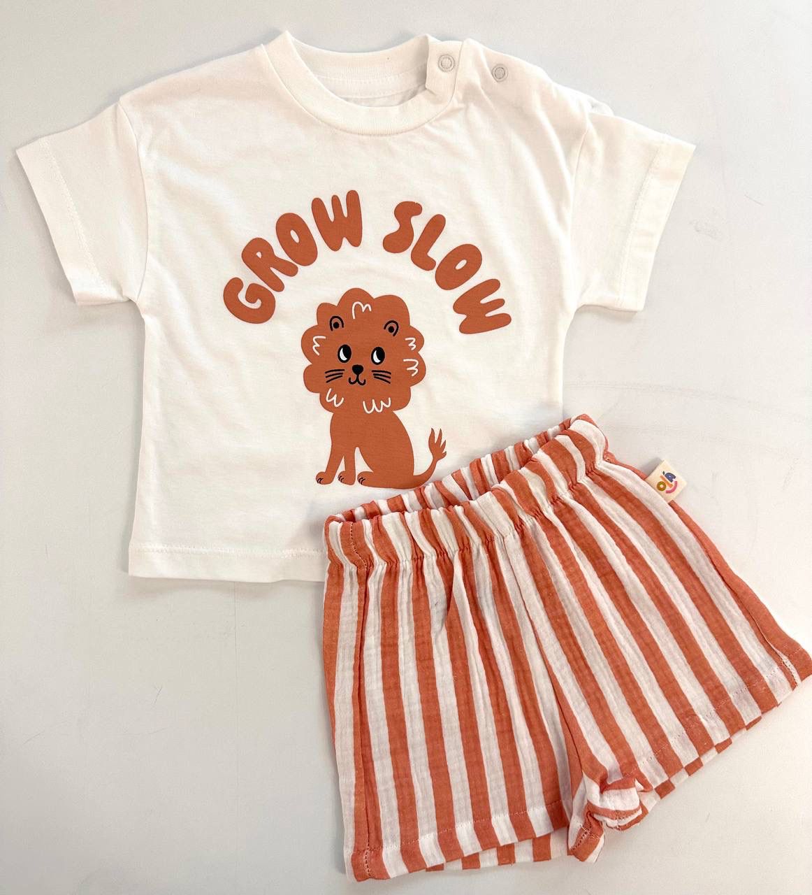 Lion set